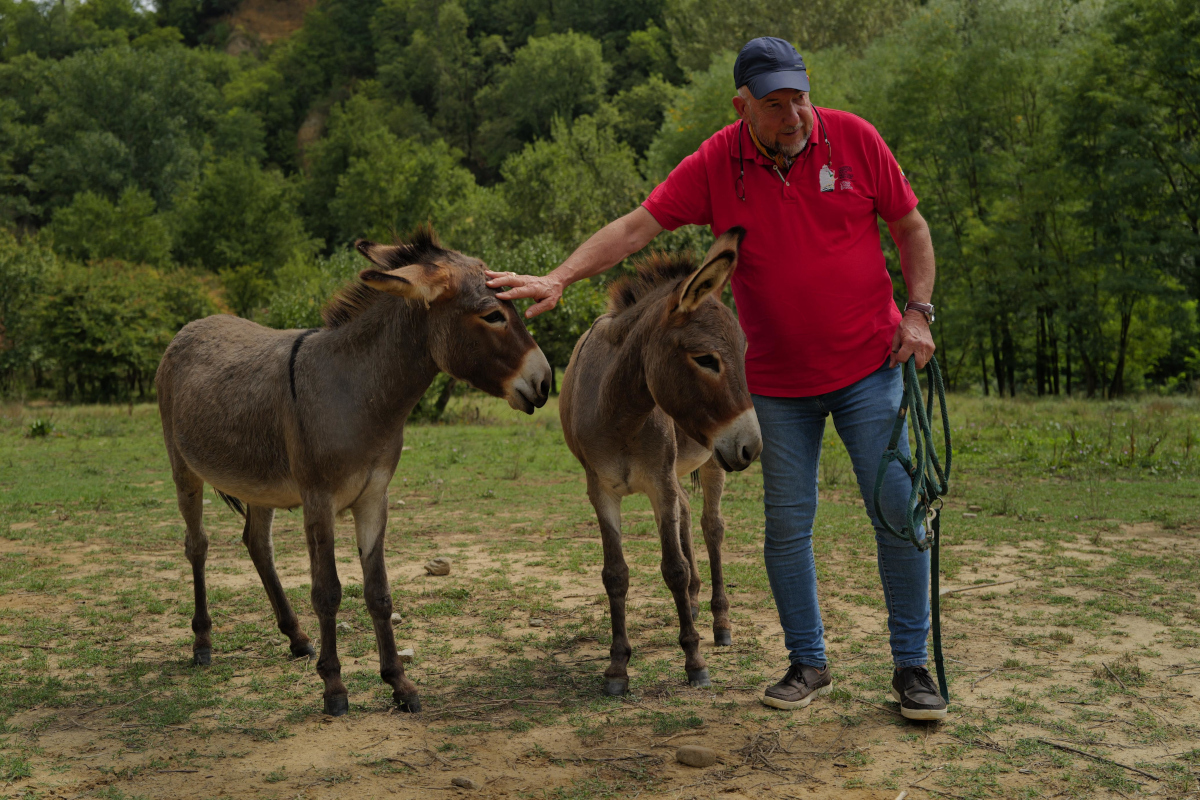 Restaurant Villa Rigacci Reggello